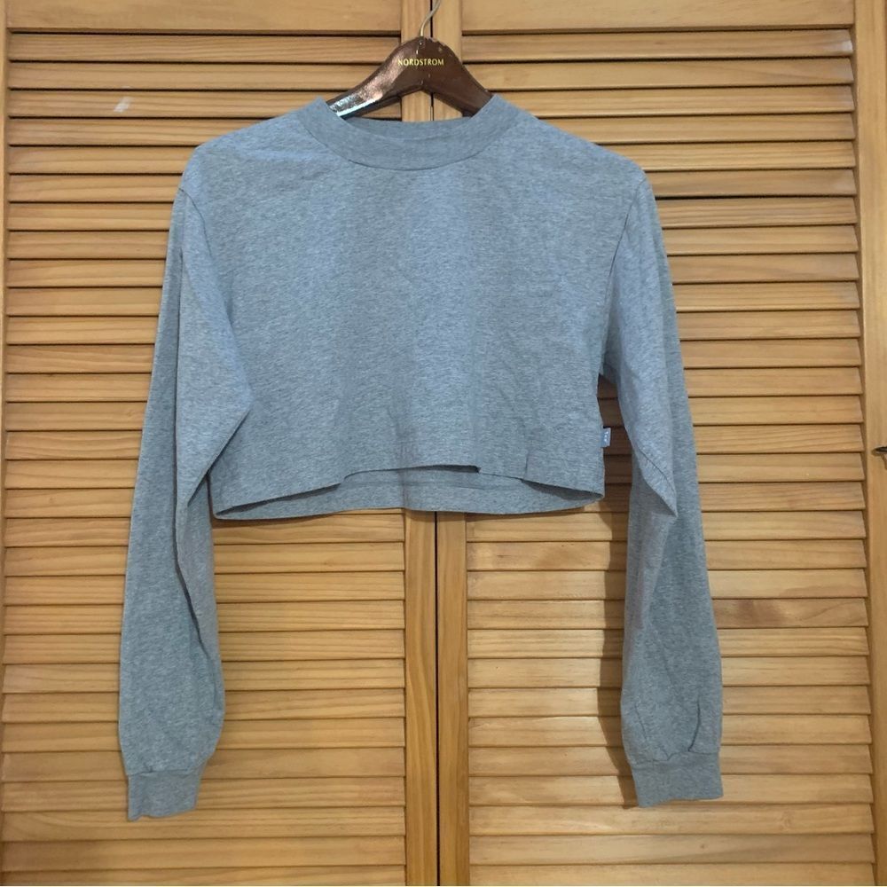 Aritzia Tna long sleeve crop gray size small
